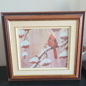 Framed Signed Cardinal Art Print
